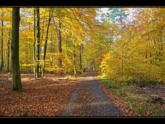 Weg in den Herbst