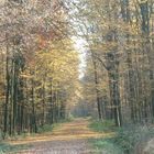 Weg in den Herbst