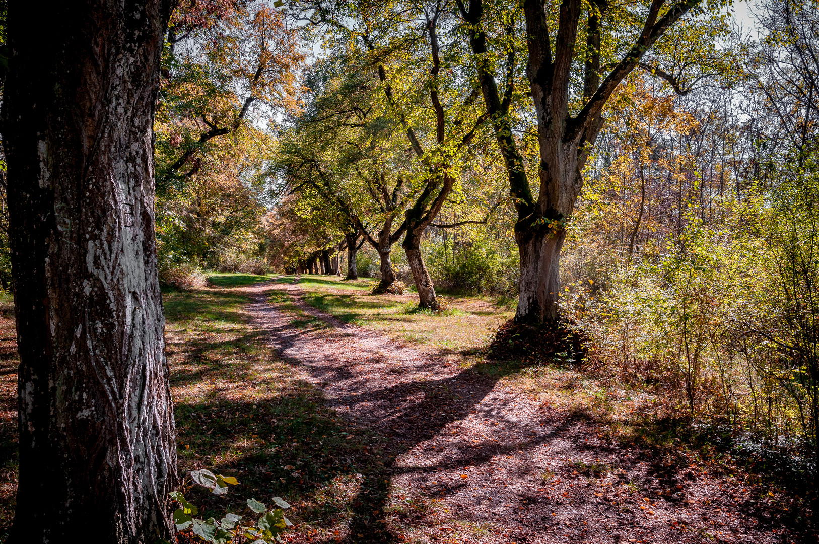 Weg in den Herbst