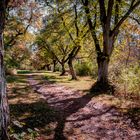 Weg in den Herbst