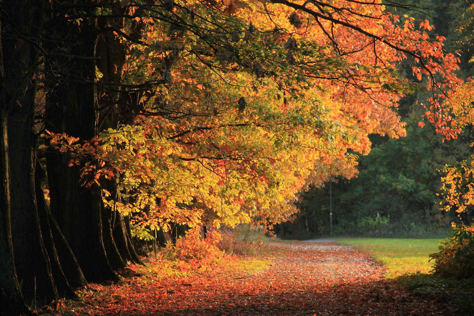 Weg in den Herbst