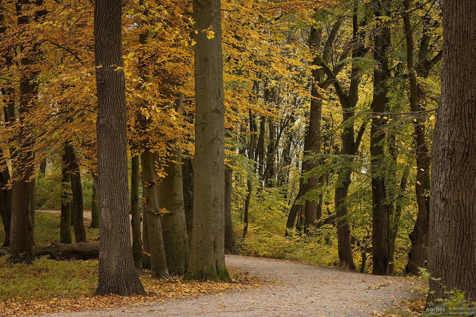 Weg in den Herbst