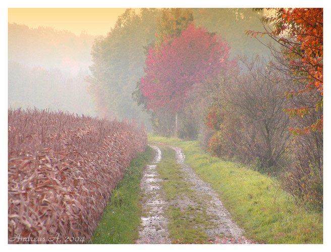 Weg in den Herbst