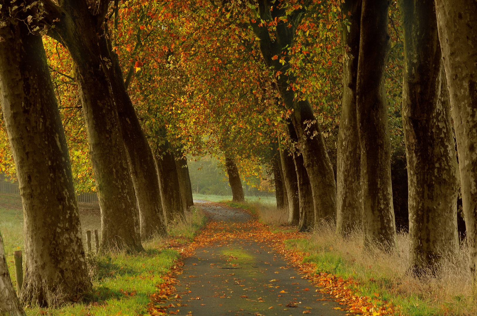 Weg in den Herbst