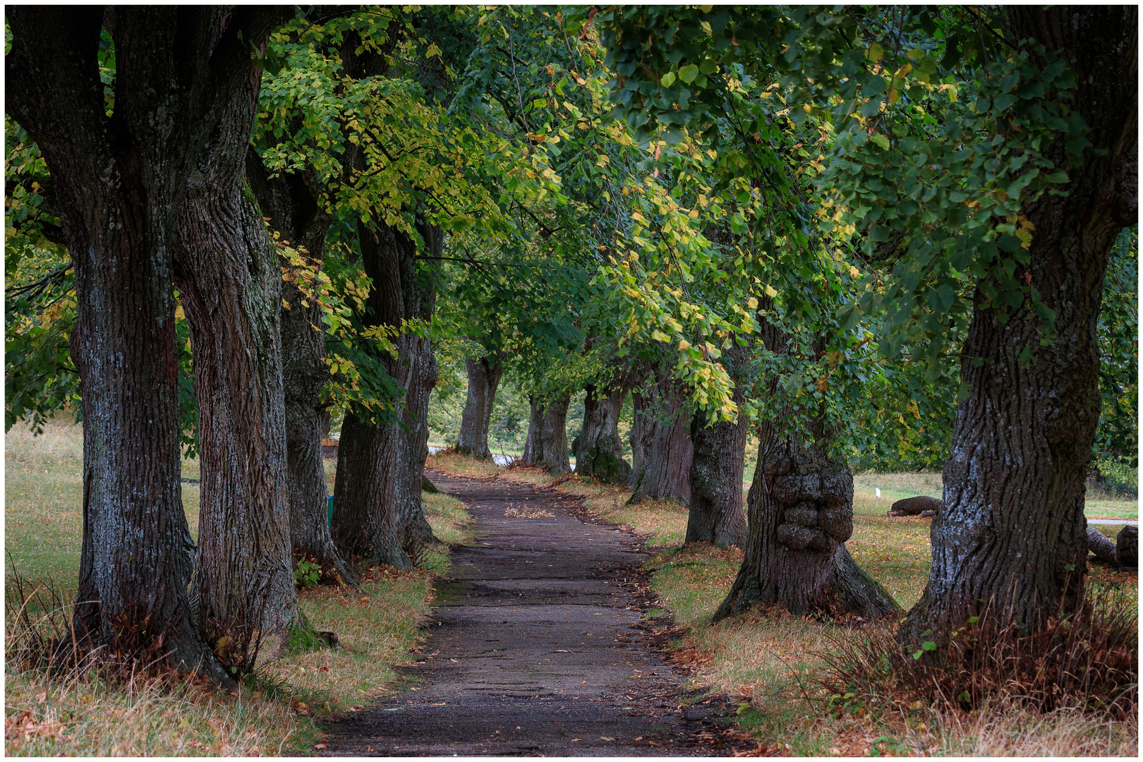 Weg in den Herbst