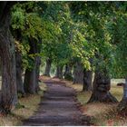 Weg in den Herbst