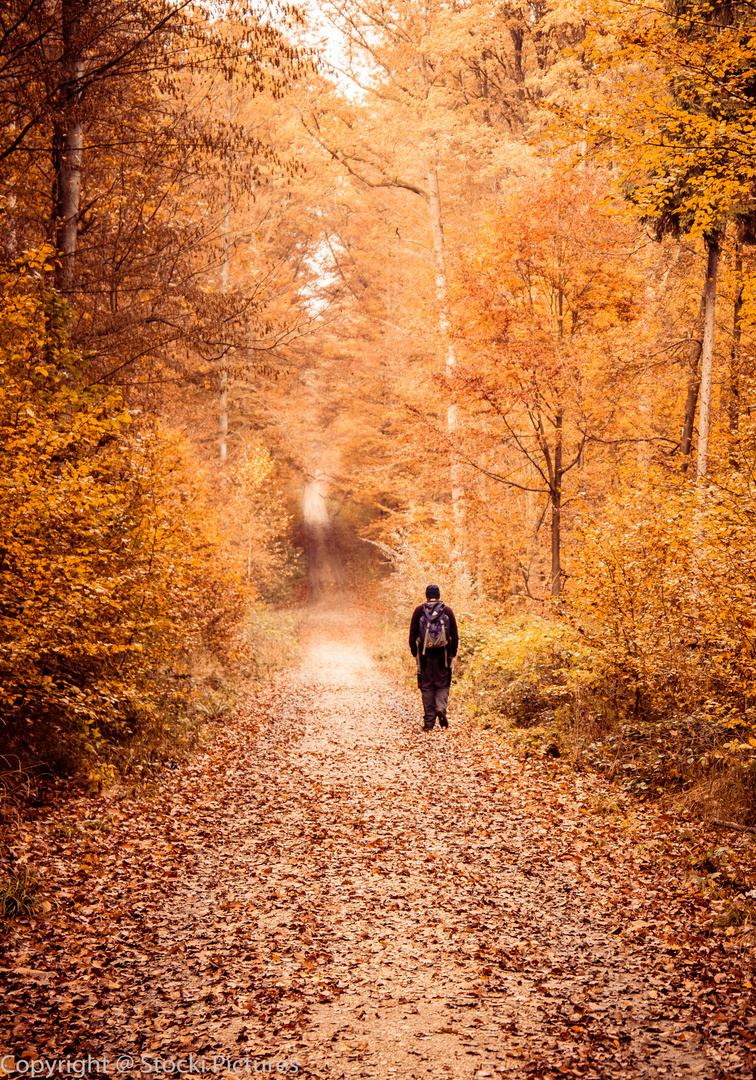 Weg in den Herbst