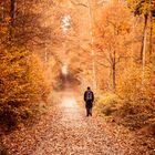 Weg in den Herbst