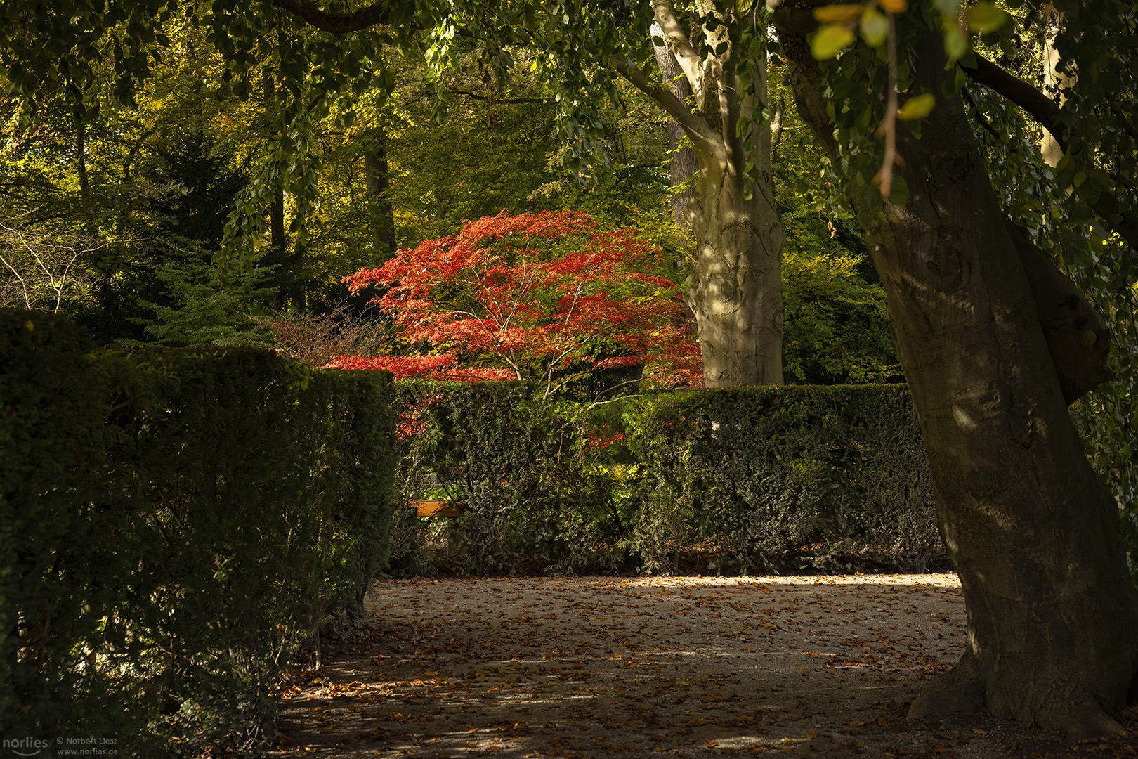 Weg in den Herbst