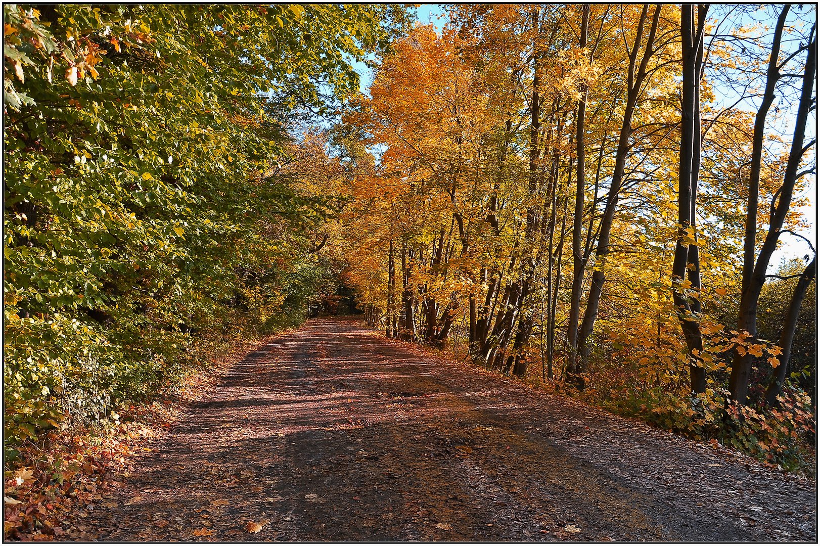 Weg in den Herbst