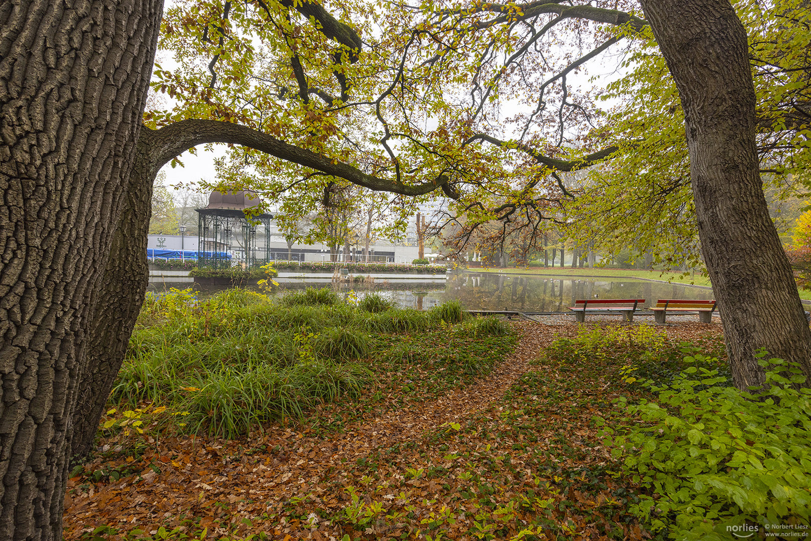 Weg in den Herbst