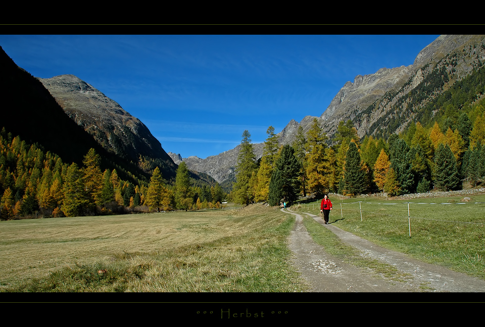 Weg in den Herbst