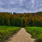 Weg in den Herbst hinein