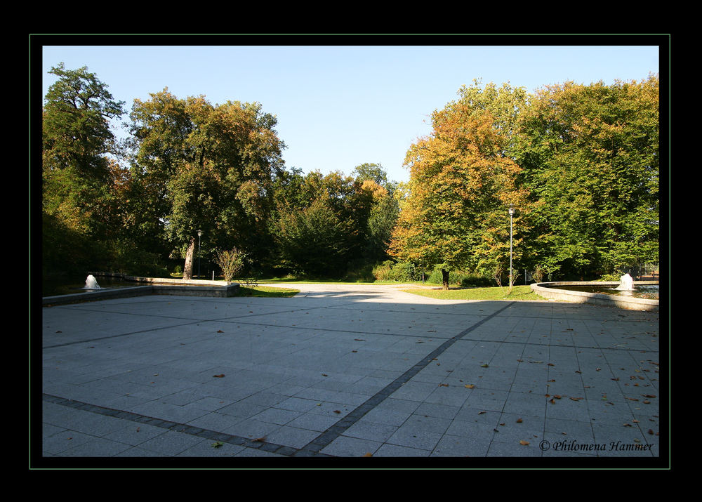 Weg in den Herbstwald