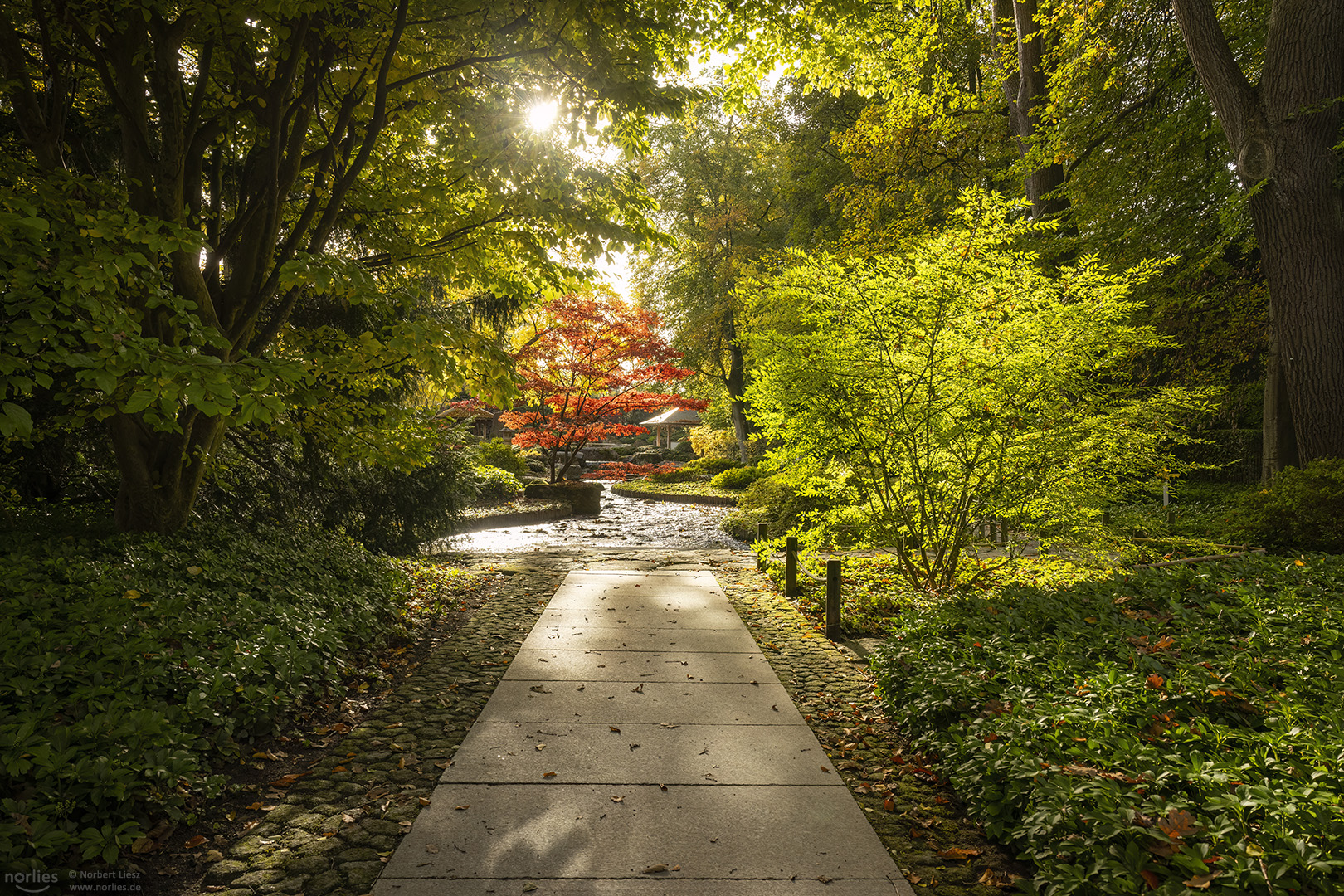 Weg in den Japangarten