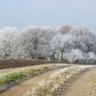 Weg in den Kristallwald