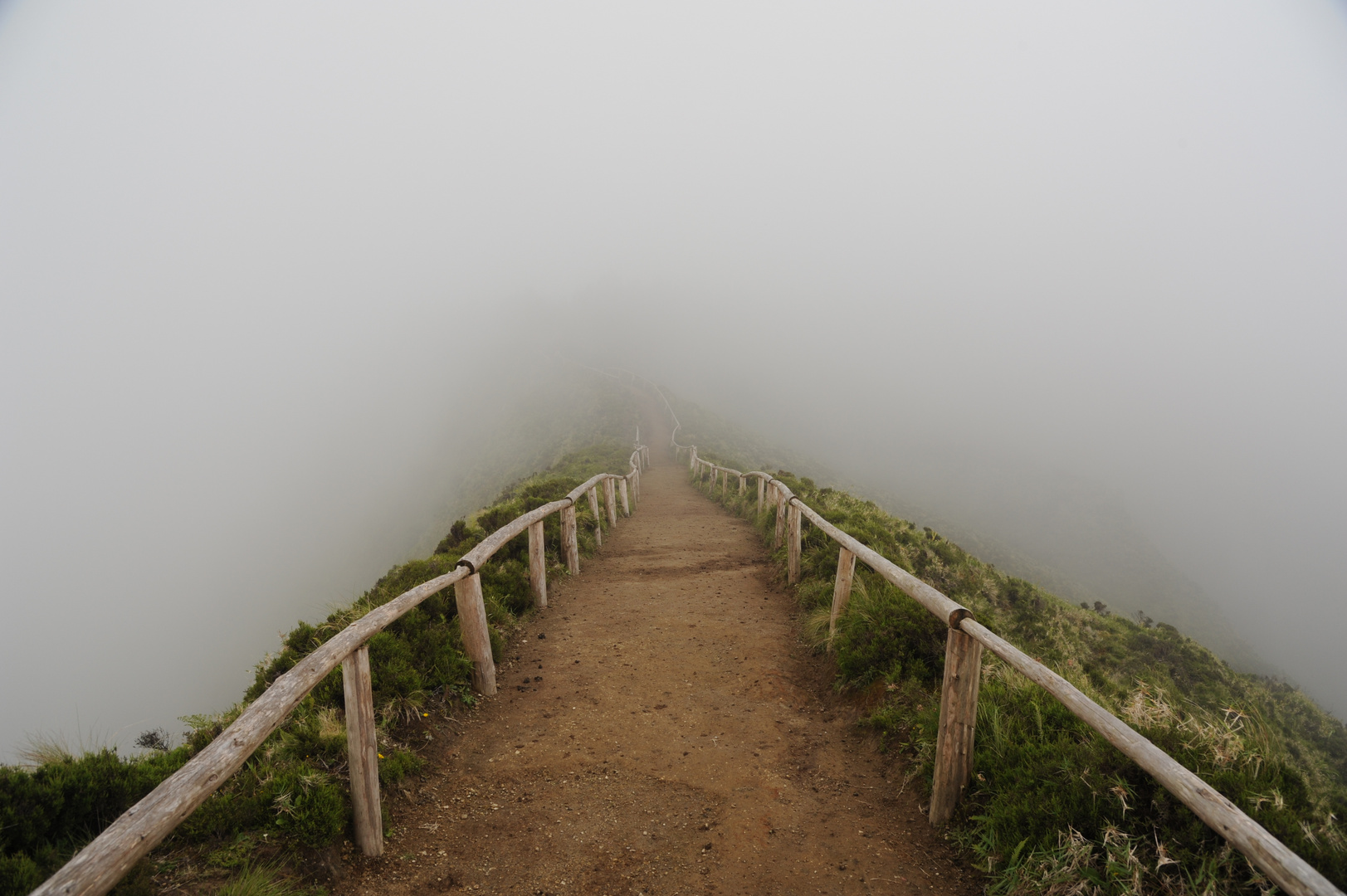 ..Weg in den Nebel!