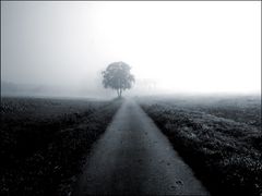 Weg in den Nebel