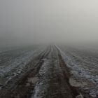 Weg in den Nebel...