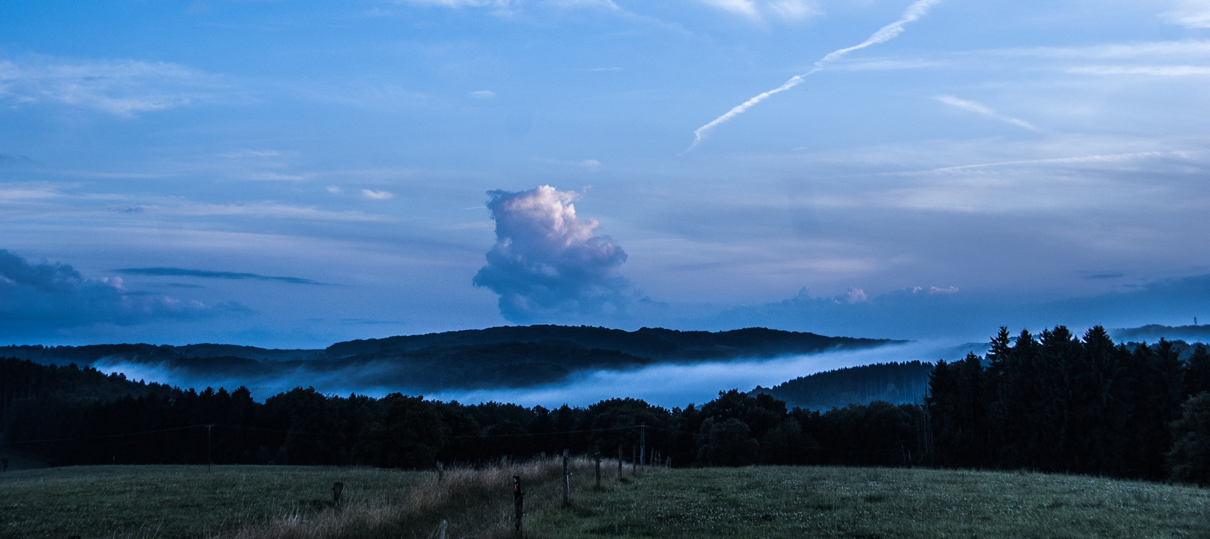 Weg in den Nebel.