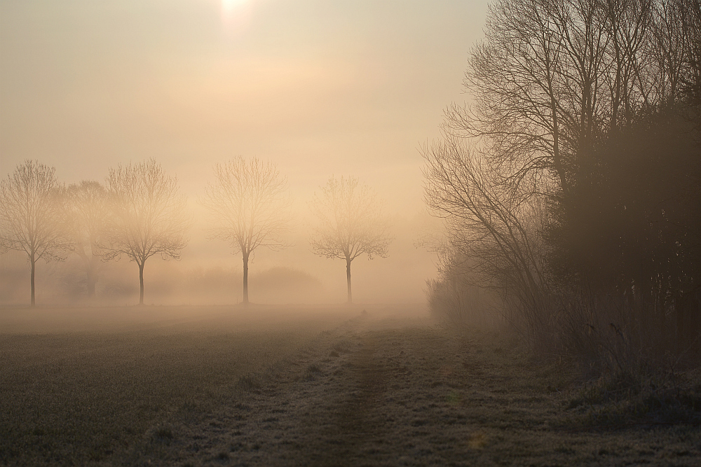 Weg in den Nebel