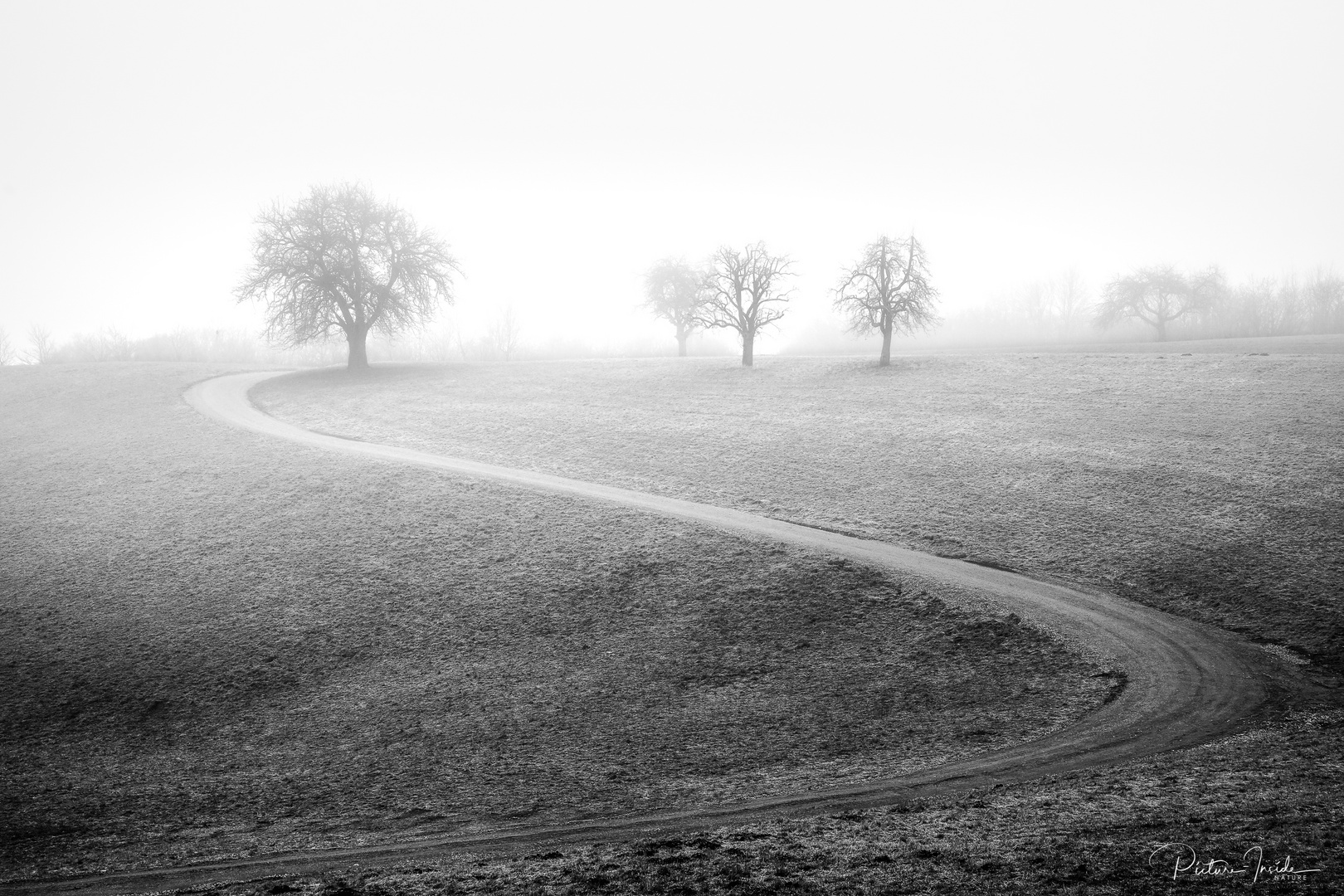 Weg in den Nebel