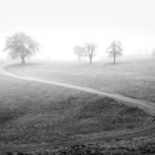 Weg in den Nebel