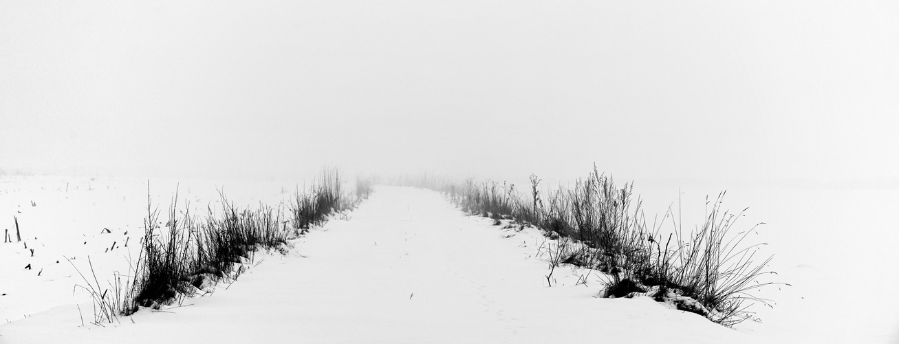 Weg in den Nebel