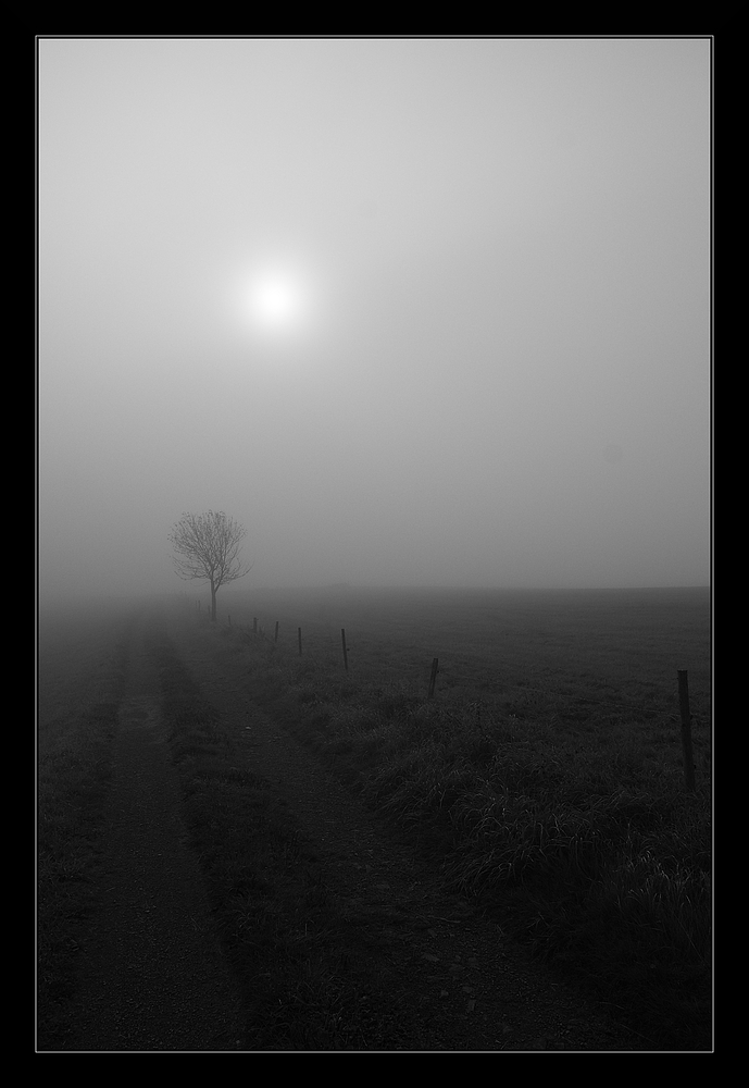 Weg in den Nebel