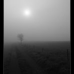 Weg in den Nebel