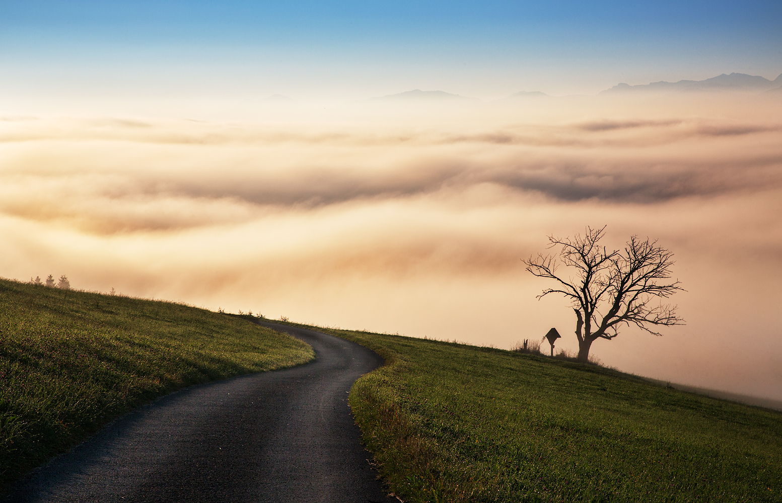 weg in den nebel