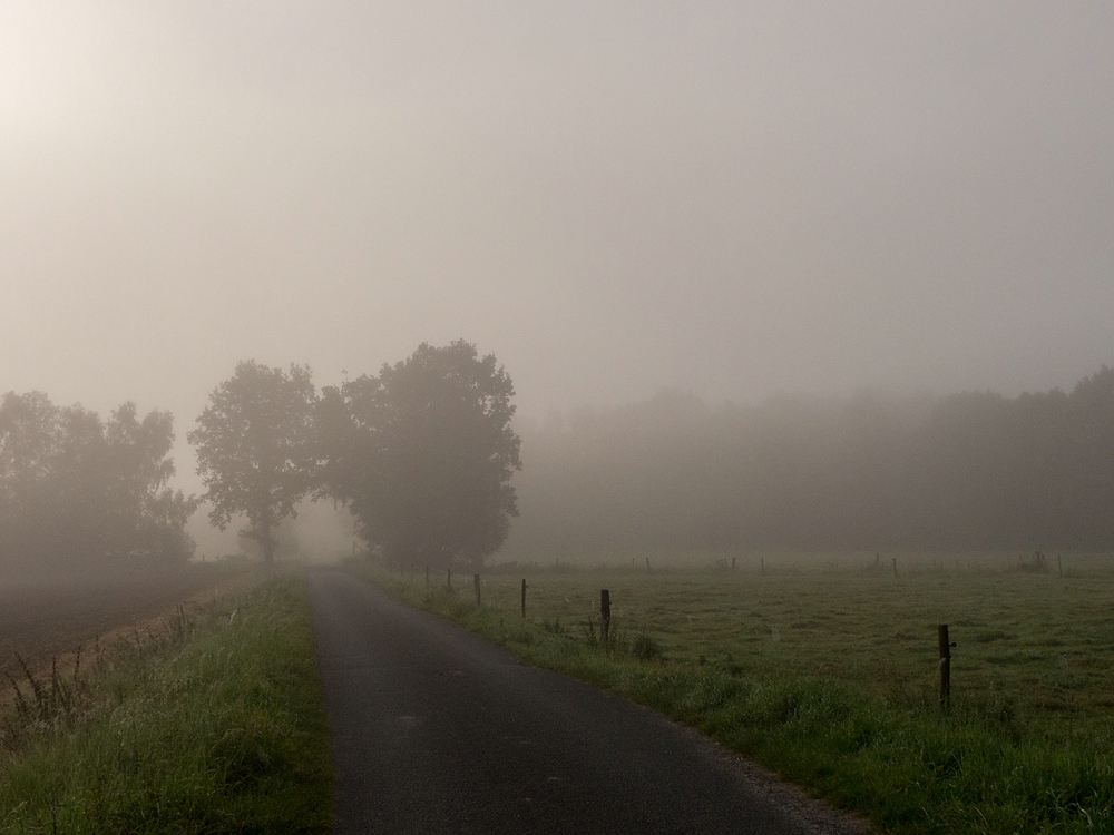 Weg in den Nebel