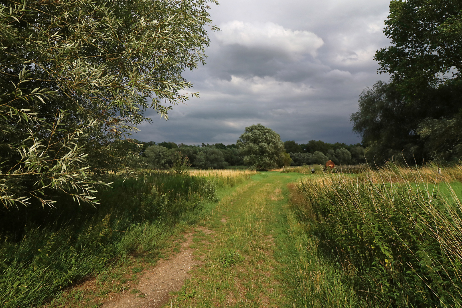 Weg in den Okerwiesen