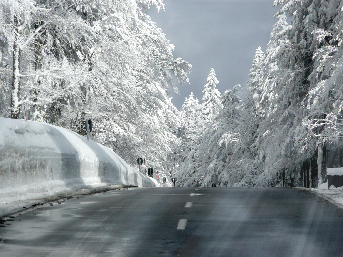 Weg in den Schnee