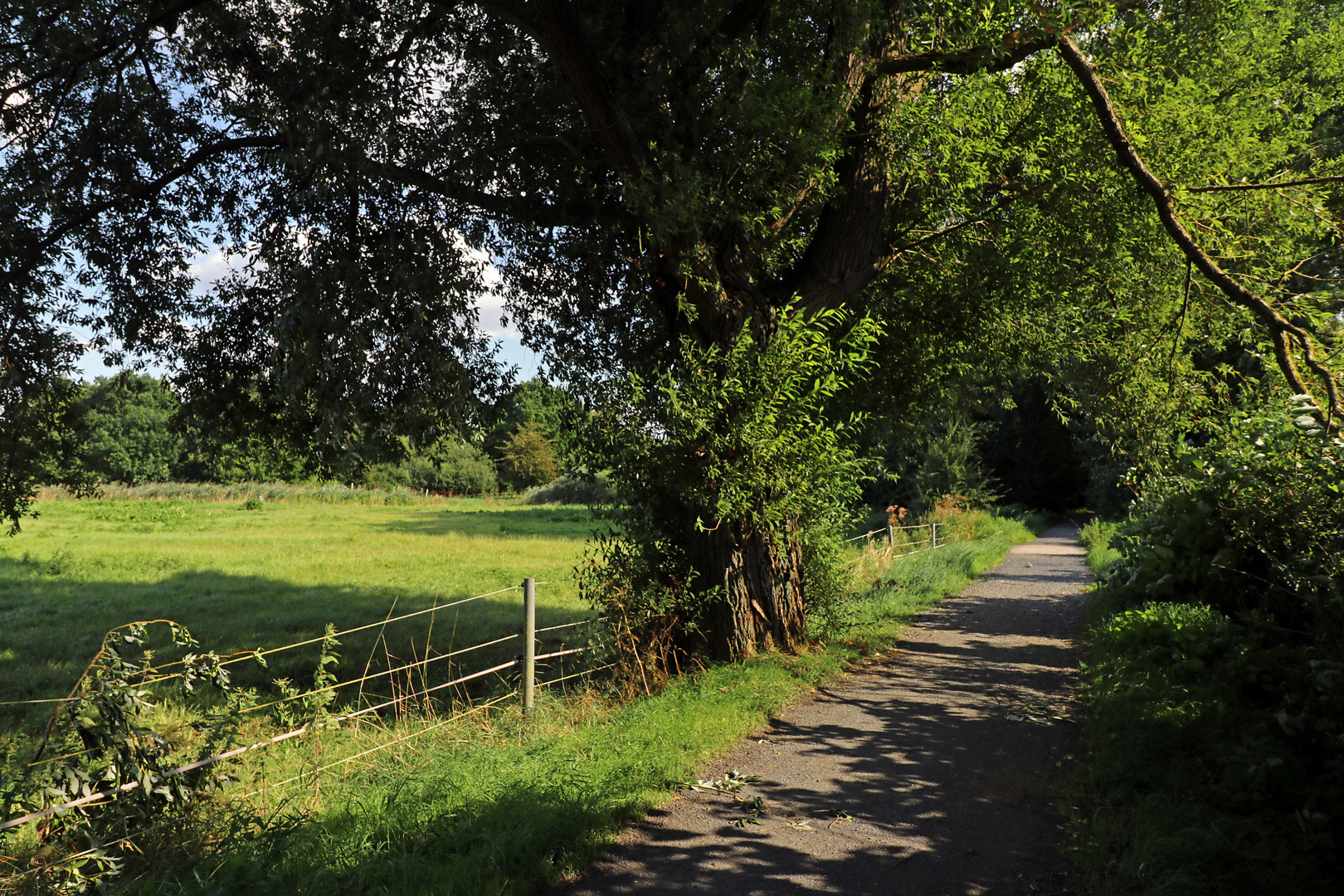 Weg in den Schunterwiesen