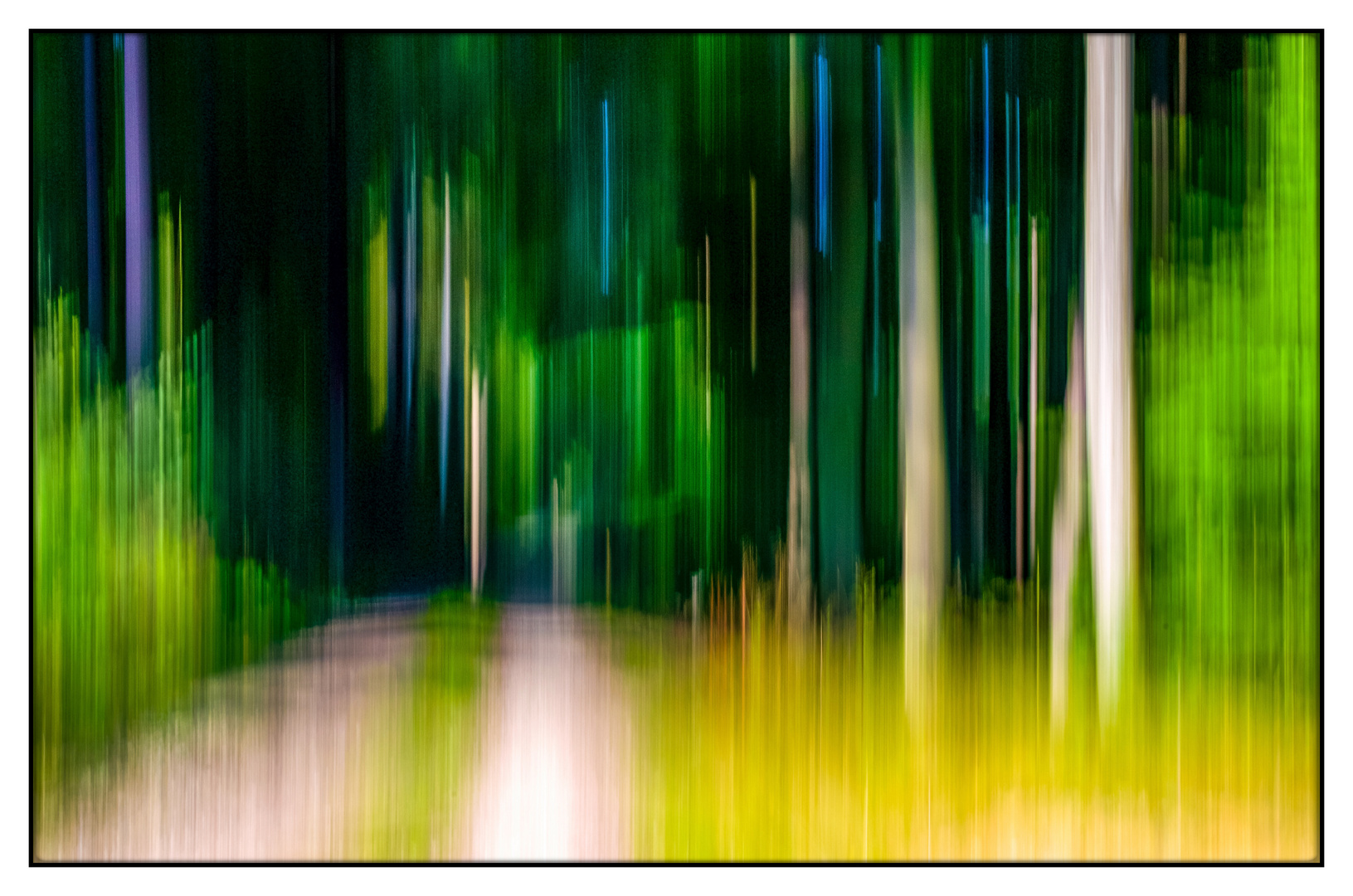 Weg in den Wald...