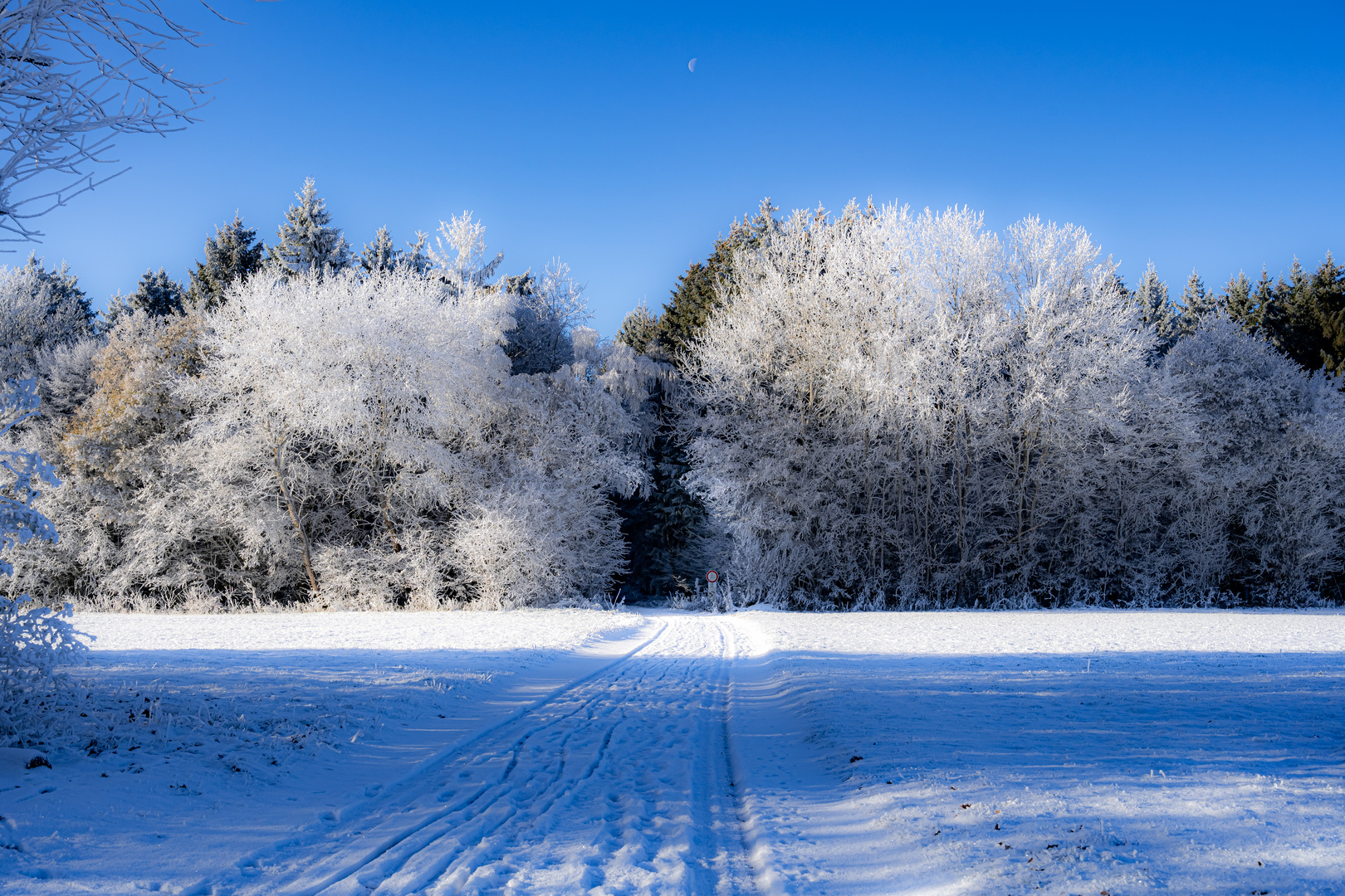 Weg in den Wald