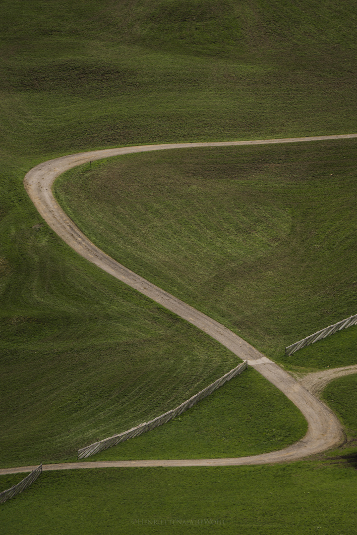 Weg in den Wiesen