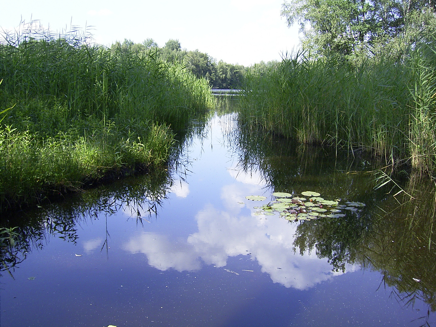 Weg in den Würmsee