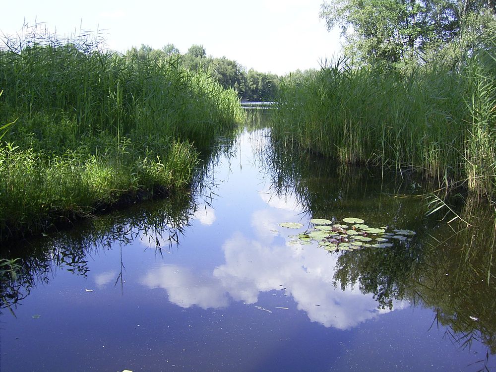 Weg in den Würmsee von sweetangel90 