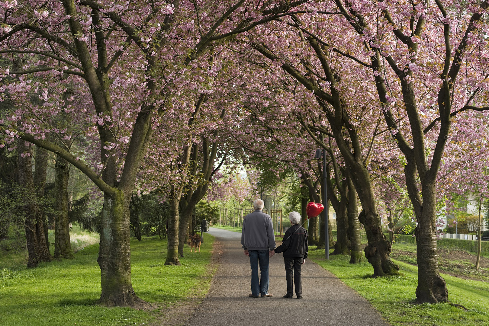 Weg in den zweiten Frühling