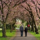 Weg in den zweiten Frühling