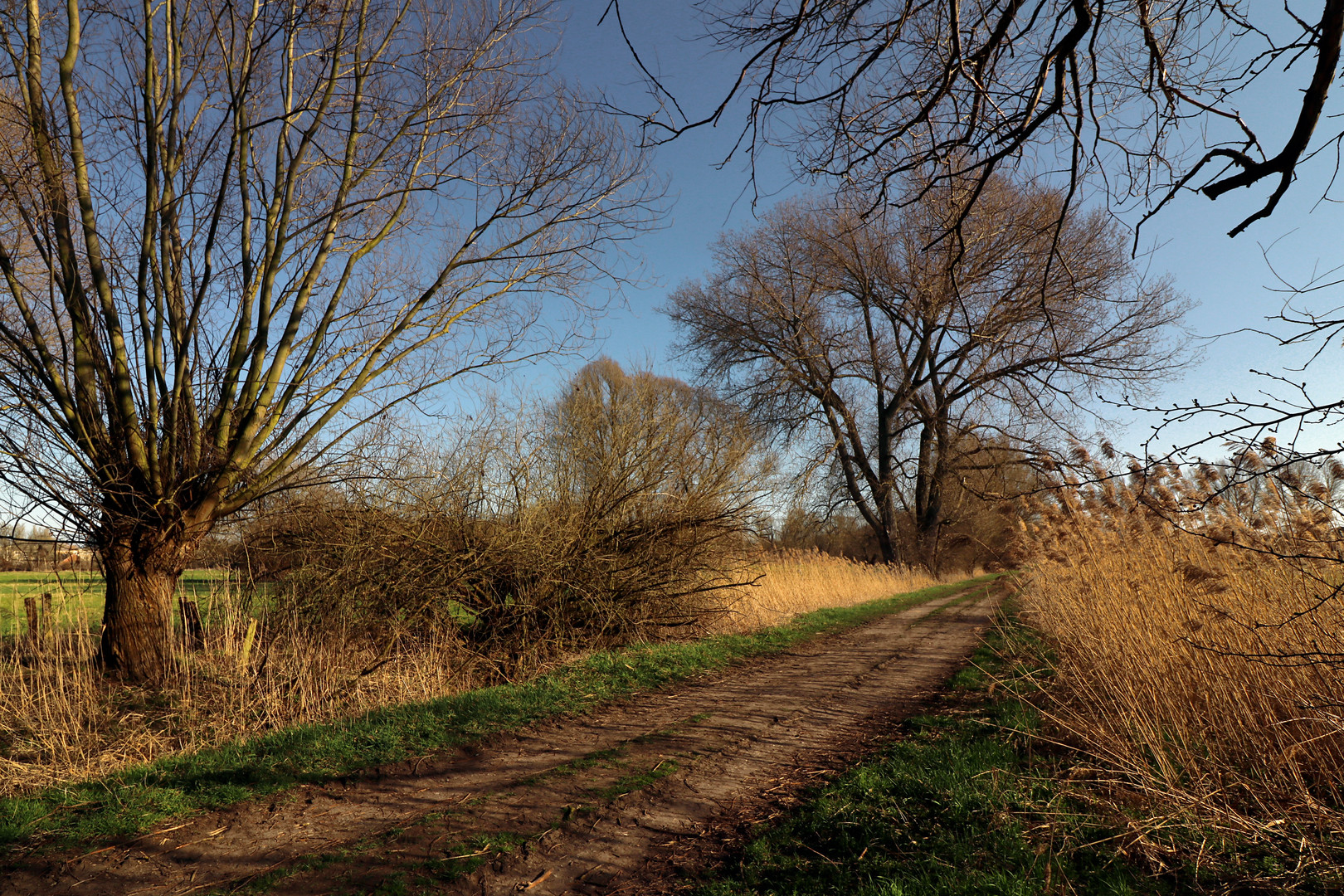 Weg in der Frühlingssonne