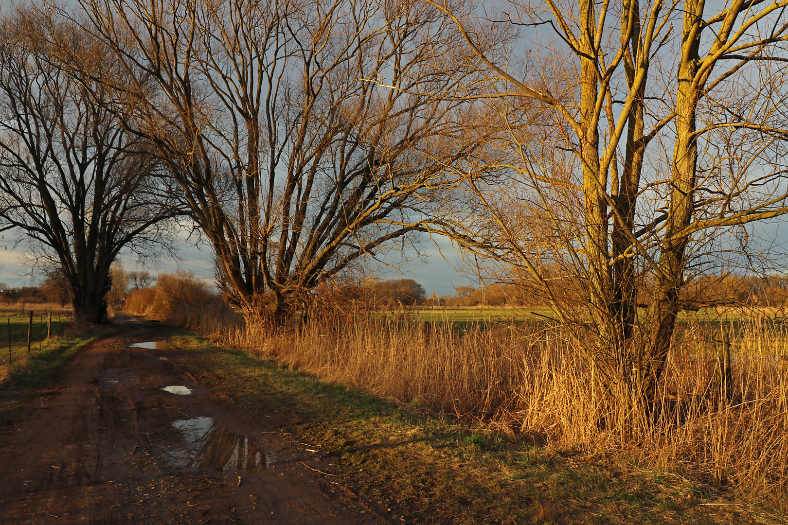 Weg in der Märzsonne