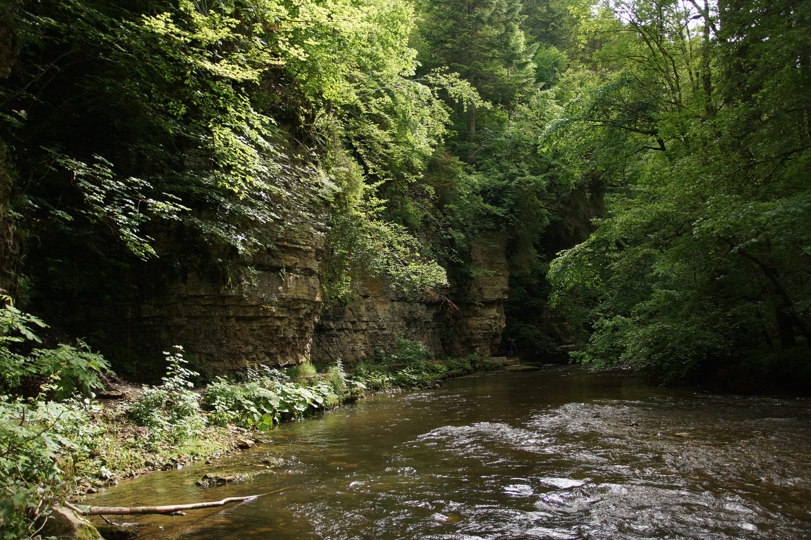 Weg in der Wutachschlucht