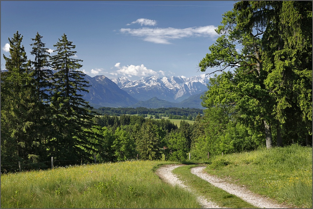 ~ Weg in die Berge II ~