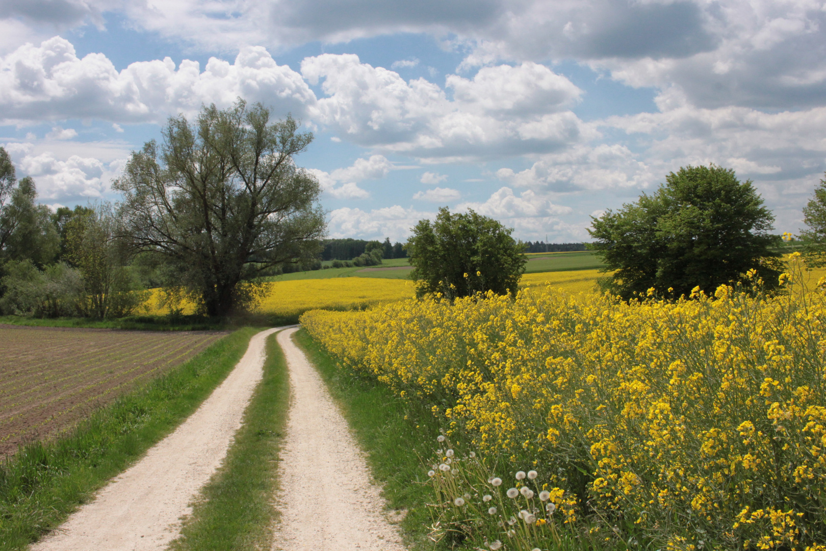 Weg in die Felder