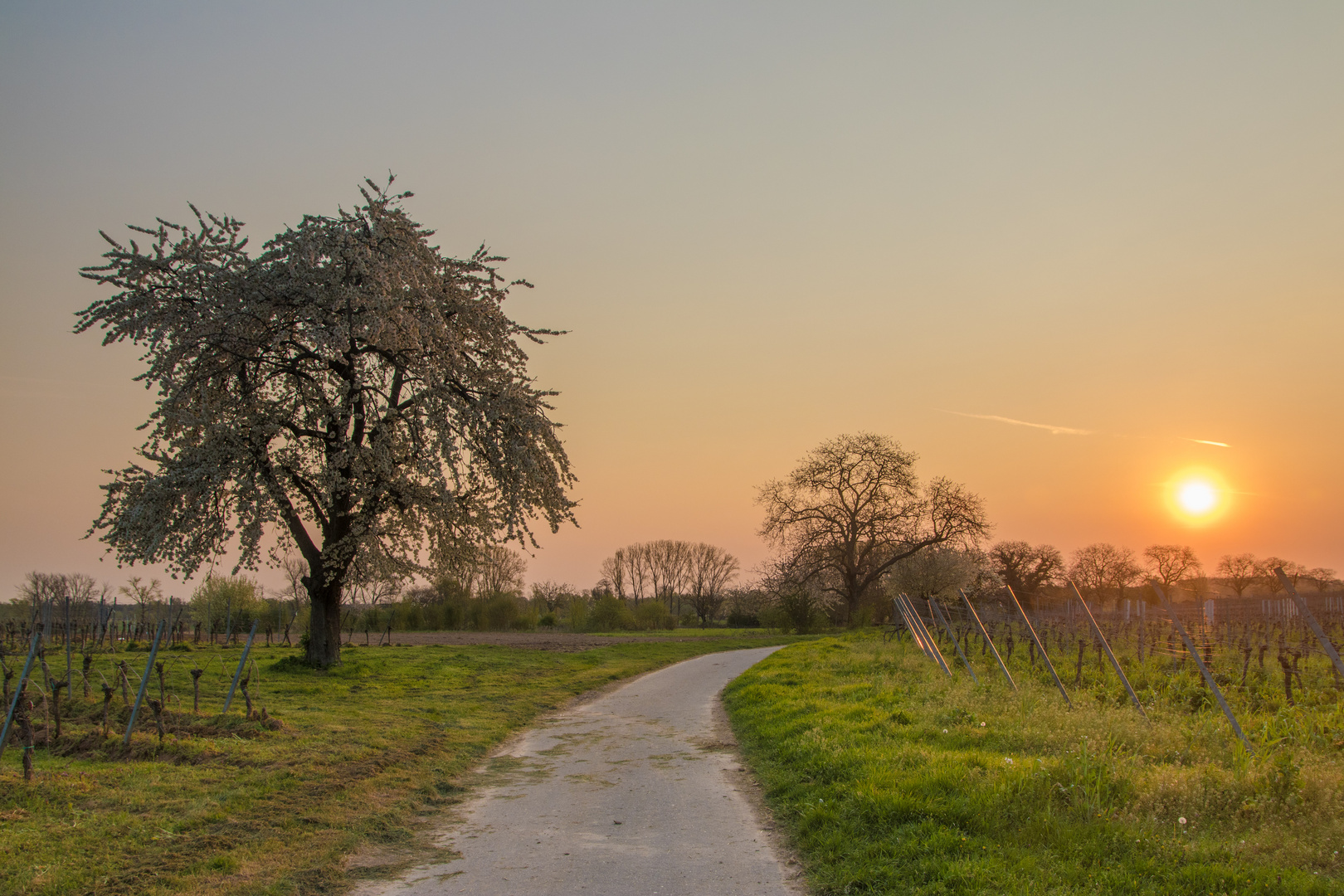 Weg in die Hoffnung