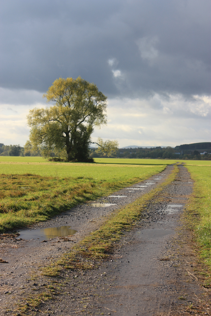 Weg in die Lahnauen