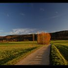 Weg in die Landschaft